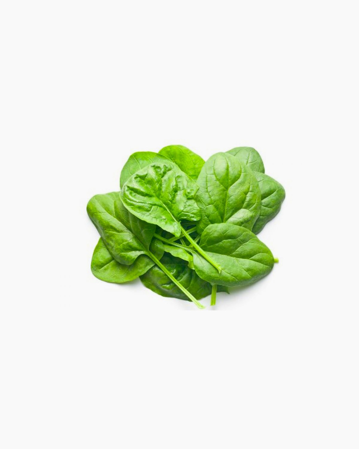 Spinach1.jpg
